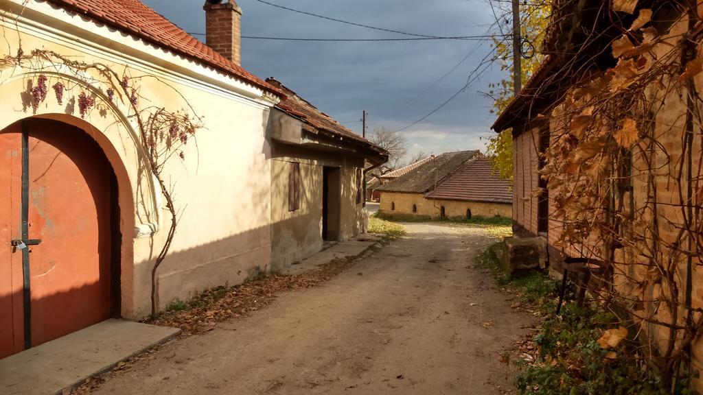 Country House Dunjin Konak Rogljevo Exterior foto