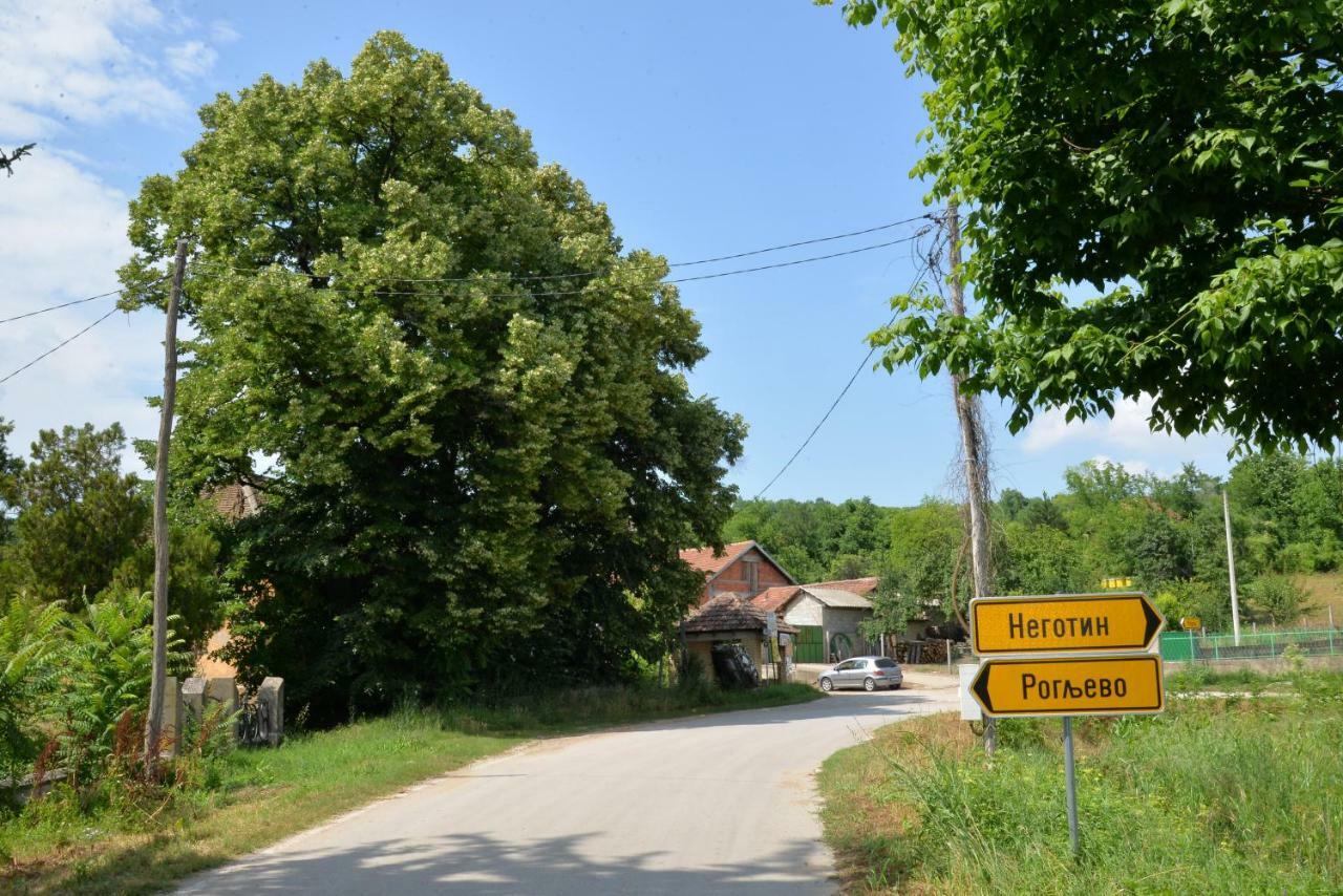 Country House Dunjin Konak Rogljevo Exterior foto